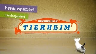 preview picture of video 'Tierheim Hersbruck'