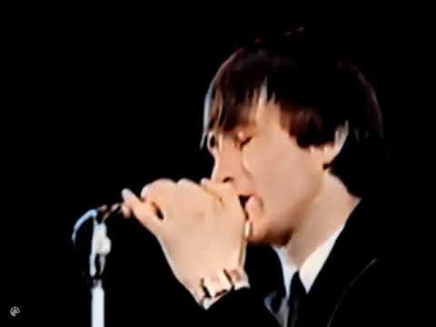 Crispian St Peters - The Pied Piper (1966)