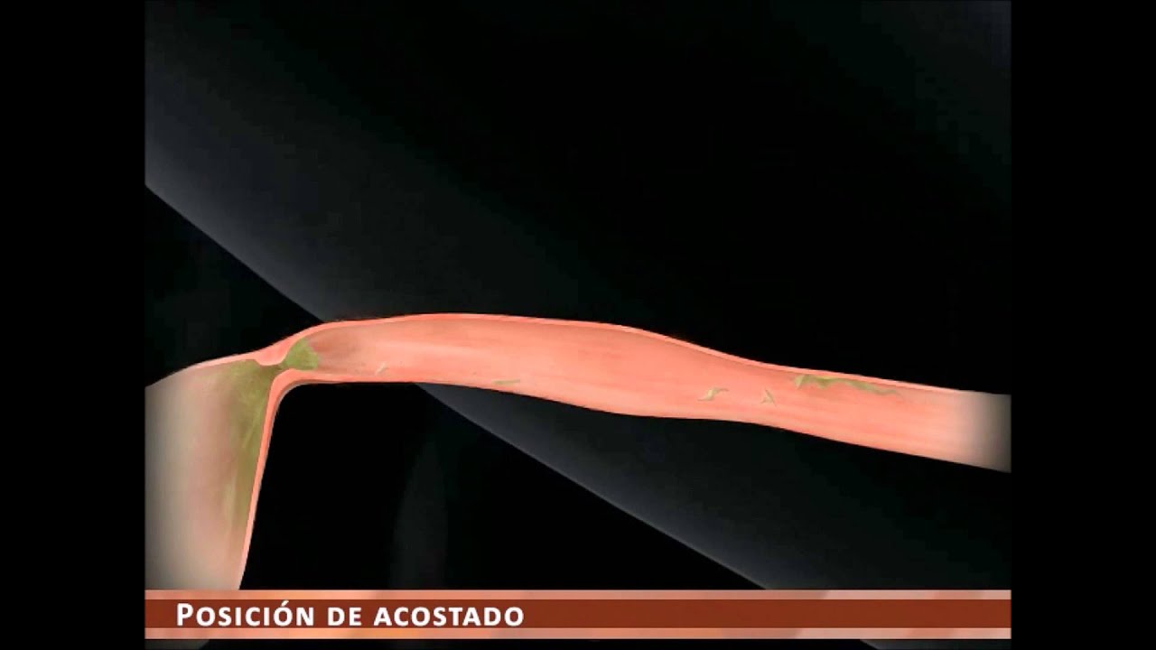 Sergio Alejandro Navarrete Guízar-15