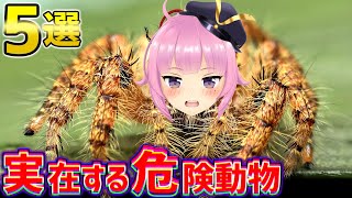 【衝撃】実在する世界の恐ろしすぎる動物5選