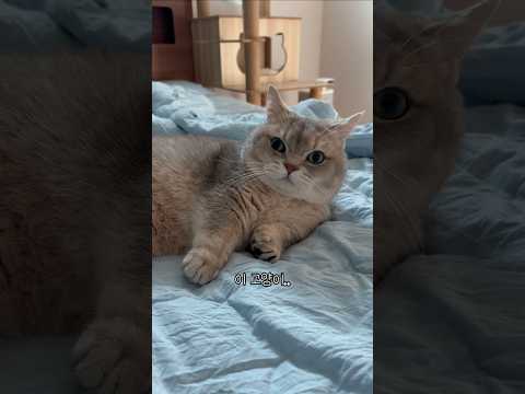 일로와 쫌 만지자