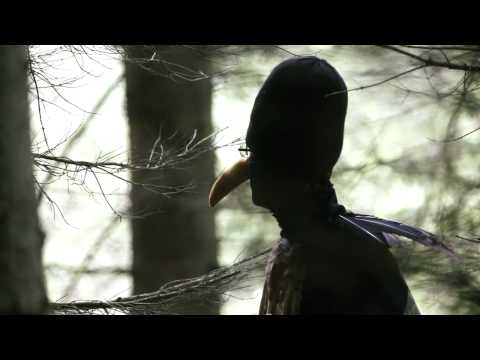 I'm Kingfisher - Willing Night Plants (HD)