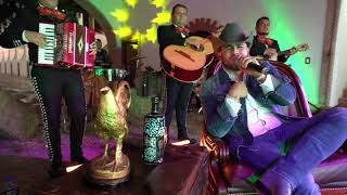 Francisco &quot;El Gallo Elizalde&quot; - Amor Prisionero [En Vivo 2021]