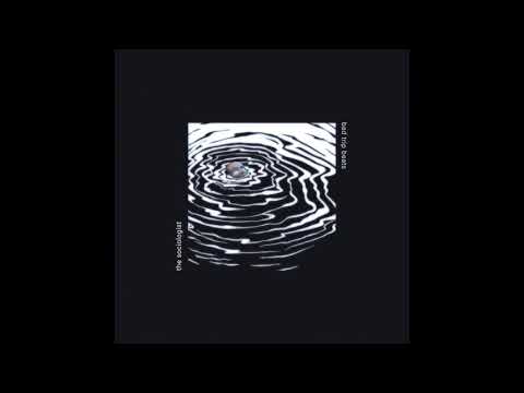 The Sociologist - Erdo