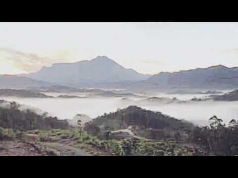 Ika Pisorou Sorou 90an by Ramin Masidin