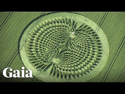 Famous Author Details SHOCKING Experience Inside Crop Circle
