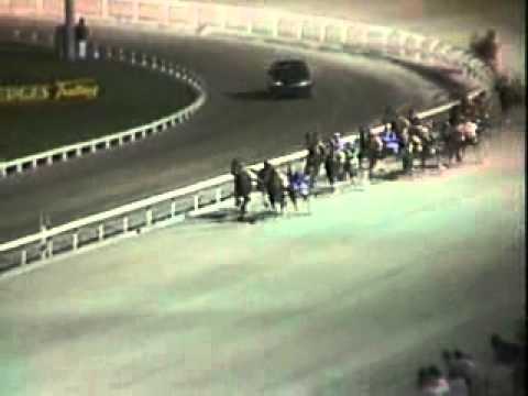 Inter Dominion Trotting Championship 1983 -Scotch Notch