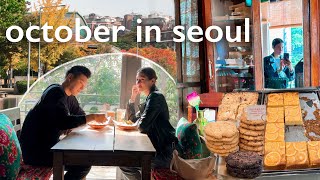 We've been thinking about this for WEEKS | October in Seoul 🇰🇷🍂 Exploring neighborhoods | Korea VLOG