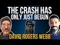 The Worst CRASH Since 1929 Is Happening NOW David Rogers Webb