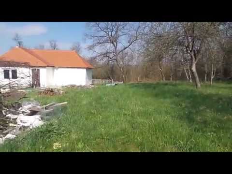 Ilimbav gradina din Gruieni