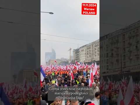 Marsch zum polnischen Unabhängigkeitstag – Ausländer // Was sagten Ausländer über den Unabhängigk...