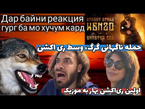 Клип ( SS ) KENZO - ГАНГСТЕР 222 Аҳмад Зохир- 2023  | یا خدا گرگ بهمون حمله کرد😰