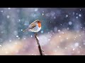 Bob James　Snowbird Fantasy