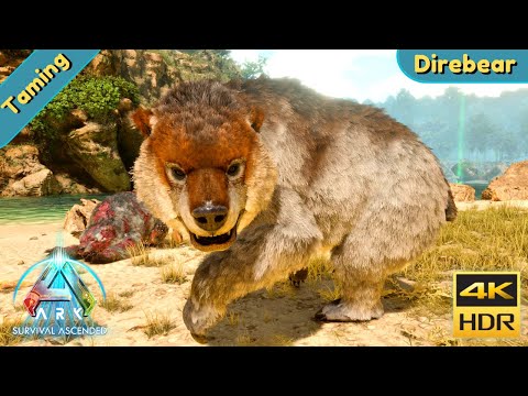 ARK Survival Ascended : Tame a Direbear