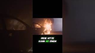 Die Überlebens-Chance: Black Box ?