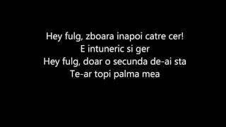 delia-fulg versuri(karaoke)