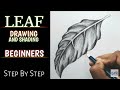 HOW TO DRAW AND SHADE A LEAF - Step By Step
