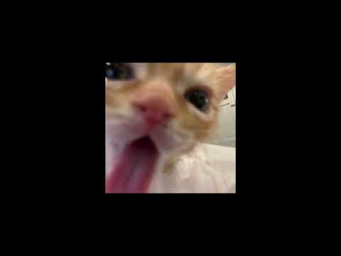 lum!x ft. pia maria — halo (sped up + reverb) | esc 2022