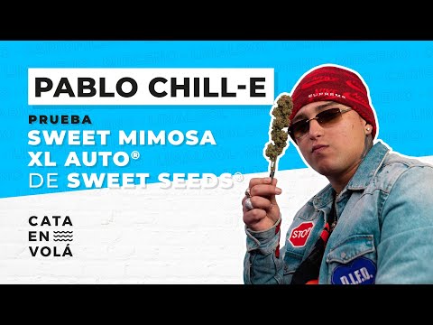 PABLO CHILL-E EN ENVOLÁ