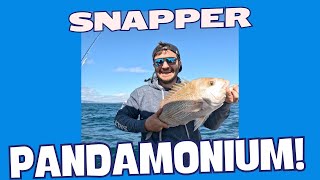 Christian reviews my Rayglass 650! Snapper pandemonium!