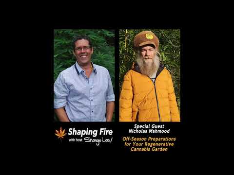Shaping Fire Ep 75 - Off-Season Preparations for Your Regenerative Cannabis Garden with Nick Mahmood