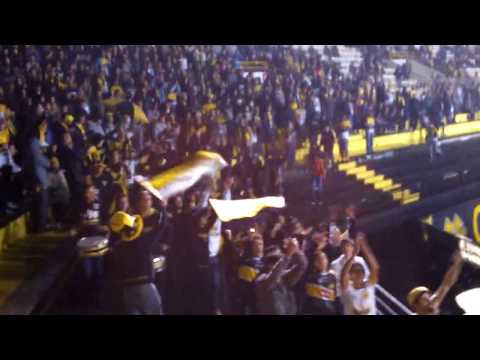 Entrada da banda barra os tigres Criciúma x grêmio 2013