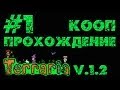 Terraria v 1.2 / Террария - Прохождение - Кооп - Ната может.. [#1] 