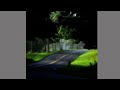 Treehouse Alex G Lyrics