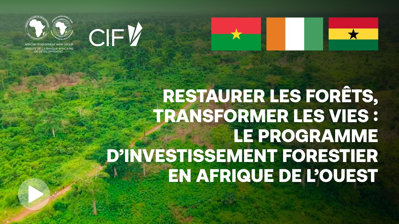 Forêts restaurées, vies transformées en Afrique de l’Ouest.