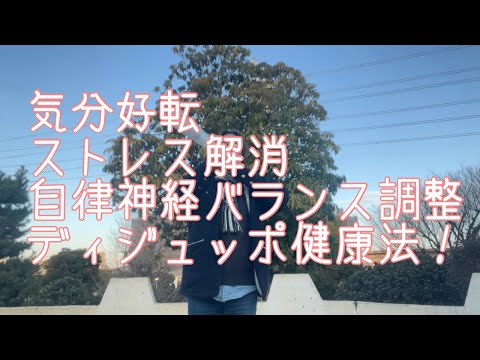 哲学科 気分好転ストレス解消自律神経バランス調整ディジュッポ健康法！