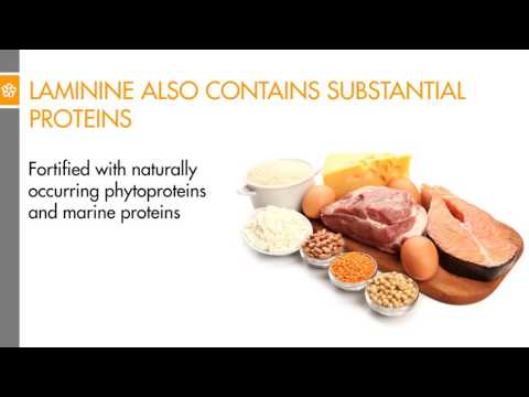 Laminine -  tajna snage 22. aminokiseline