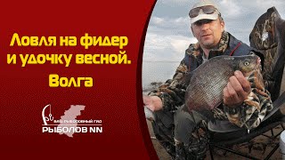 Места ловли весной на нижней волге