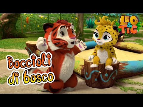 Leo e Tig Italia 🐯🐆🙌👋 Boccioli di bosco 👋🙌 Cartone animato per bambini