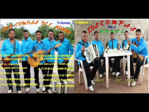 Los Compas del norte Nativos del Platanar 6.- los hermanos zaragoza