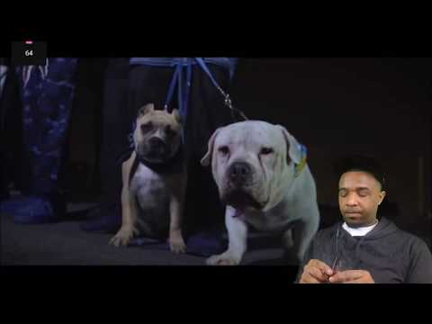 TAYF3RD, VBO, $TUPID YOUNG " GANGSLIDIN" REACTION!