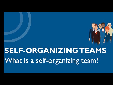 What is the purpose of a self-organizing team?