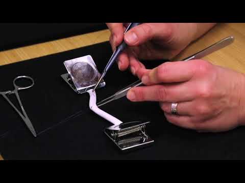 End-to- End Anastomosis Tutorial @ Henry Ford Health System