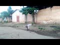 Lamadhan Acrobatic