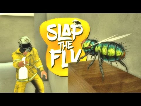 ATRAPANDO A LA MOSCA !! // SlapTheFly