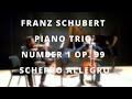 Franz Schubert Piano Trio Number 1 Op. 99 - Scherzo Allegro