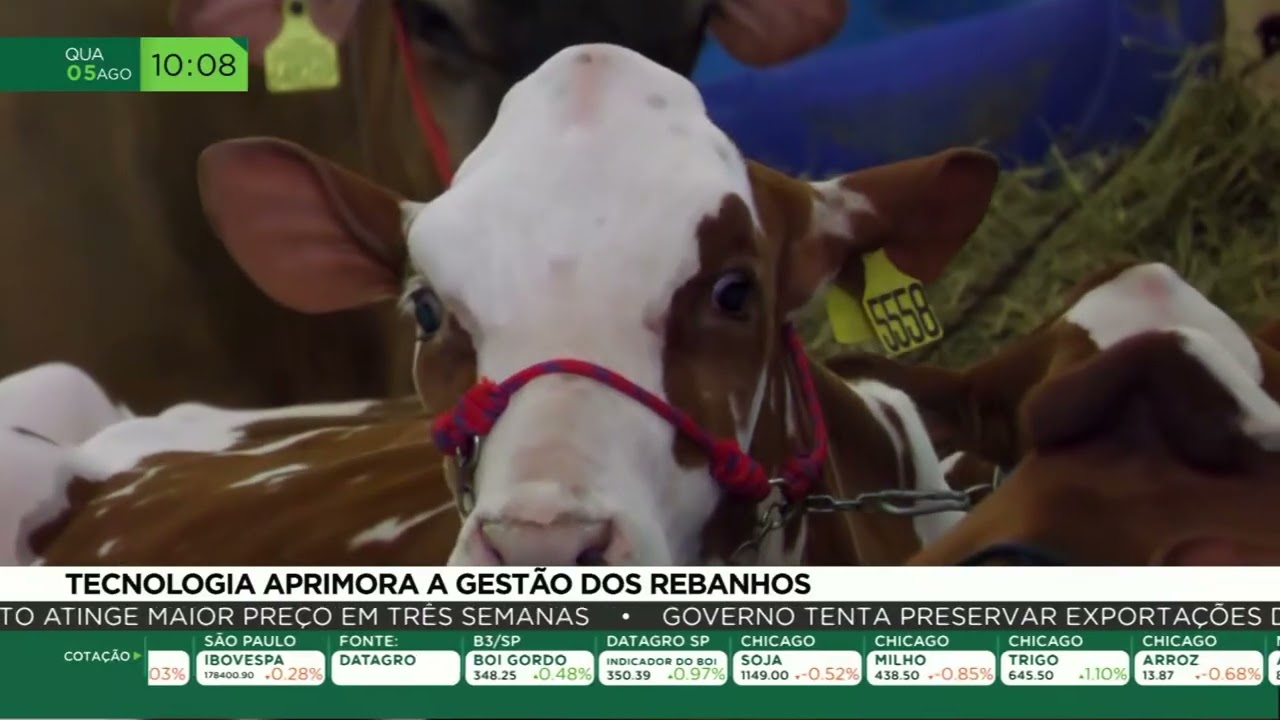 Agroleite destaca tecnologia para gestão e monitoramento do rebanho