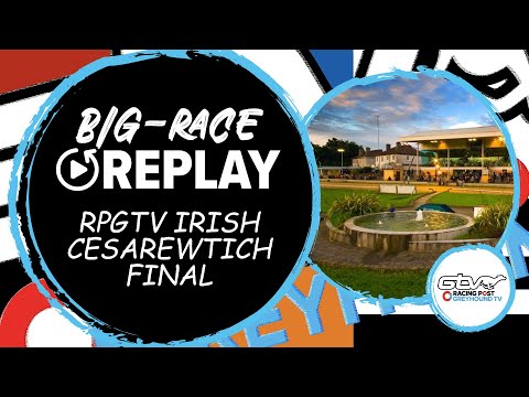 2023 RPGTV Irish Cesarewitch Final - Bobsleigh Dream | Greyhound Race Replays | 2023 Big Finals