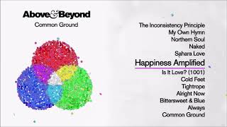 Above & Beyond feat. Richard Bedford - Happiness Amplified (Sub Esp. - Ing.)