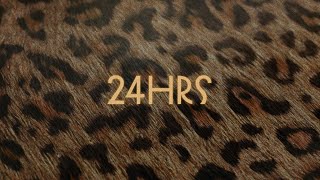 Download lagu Lil Tecca - 24HRS (Lyric Video) mp3 Download lagu Lil Tecca - 24HRS (Lyric Video) mp3