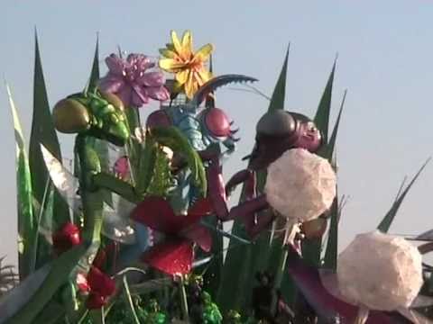 Carnevale di Viareggio 2011: "L'erba di casa mia".