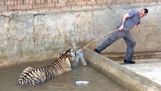 MAN AND BEAST - Part 53 - Great Animal Compilations