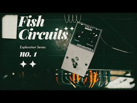 Fish Circuits  Exploration #1 image 9