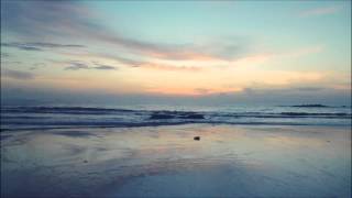 Wilkie - Roman Flügel