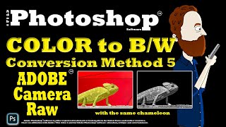 B/W Conversion in Photoshop with Adobe Camera Raw (Method 5)
