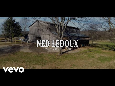Only Need One - Ned LeDoux
